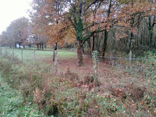 orle-neung_114.jpg (117635 octets)