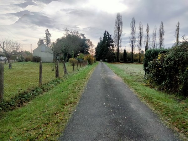 orle-neung_118.jpg (105711 octets)