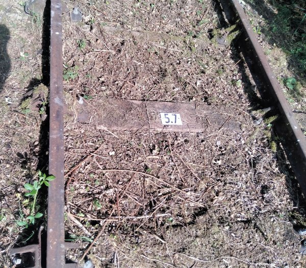 velo-rail-vitry_03.jpg (161893 octets)