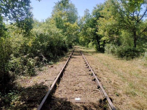 velo-rail-vitry_04.jpg (115781 octets)