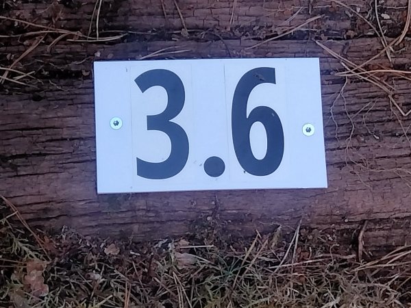 velo-rail-vitry_11.jpg (77084 octets)