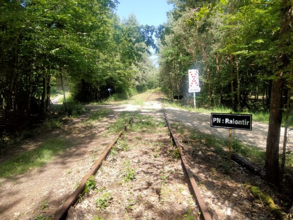 velo-rail-vitry_15.jpg (105419 octets)