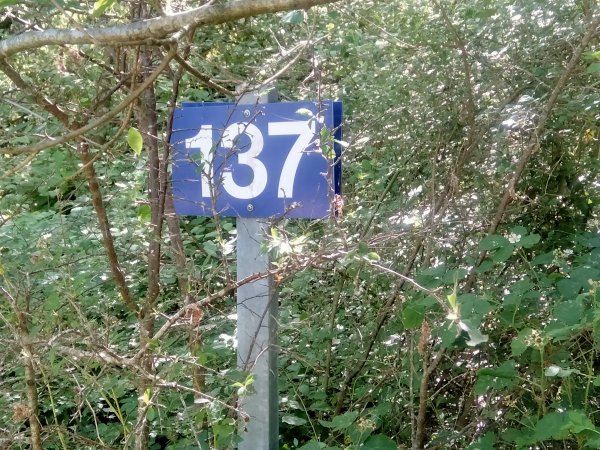 velo-rail-vitry_21.jpg (118704 octets)
