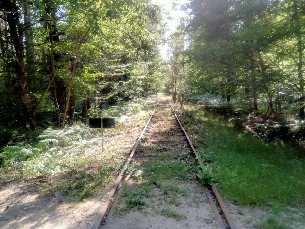 velo-rail-vitry_23.jpg (99684 octets)