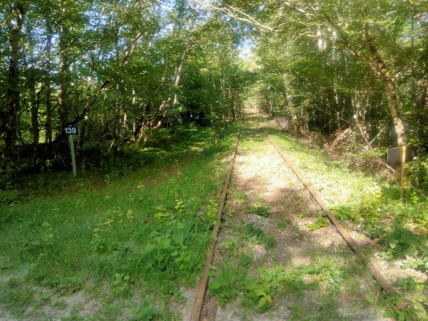 velo-rail-vitry_24.jpg (100965 octets)