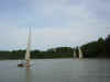 080508b_29.jpg (50682 octets)